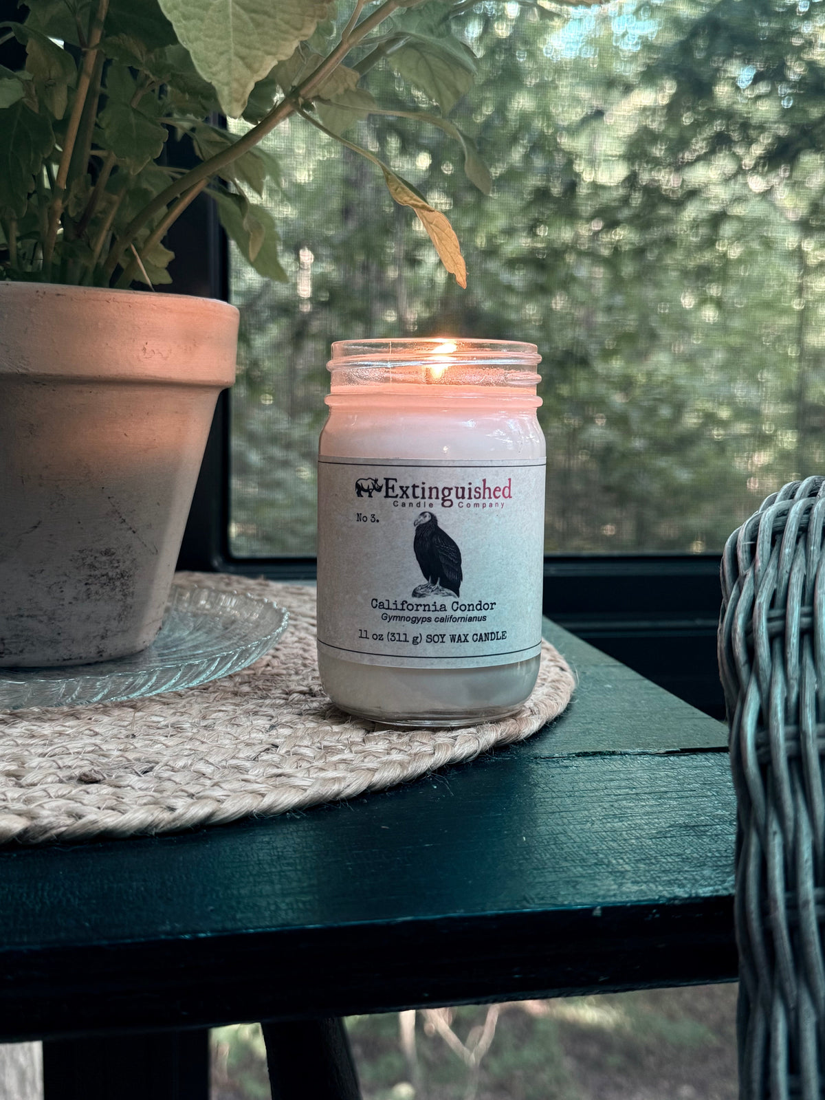 Extinguished Candle Co. No 3. California Condor